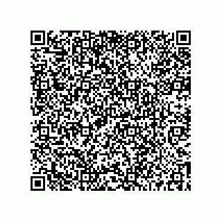 vCard 73519038521