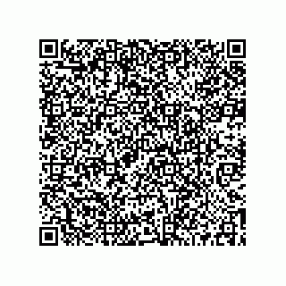 vCard 73519038529