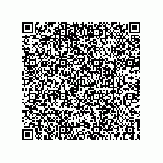 vCard 73519039531