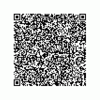 vCard 73519039533
