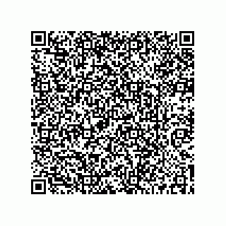 vCard 73519039537