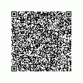 vCard 73519039541