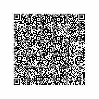 vCard 73519039634