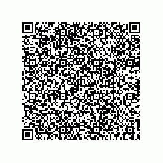 vCard 73519039678