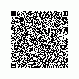 vCard 73519039680