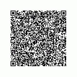 vCard 73519039729