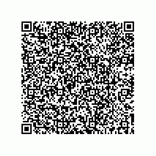 vCard 73519039811
