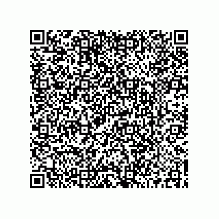 vCard 73519045511