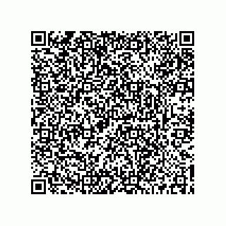 vCard 73519061383