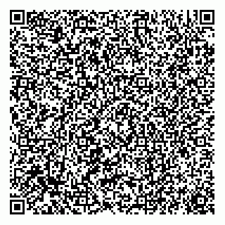vCard 73519061391
