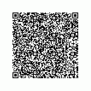 vCard 73519061393