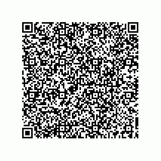 vCard 73519087009