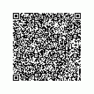 vCard 73519087133