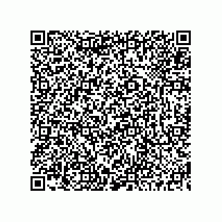 vCard 73519130003