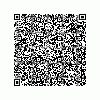 vCard 73519130021