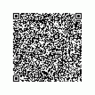 vCard 73519130027