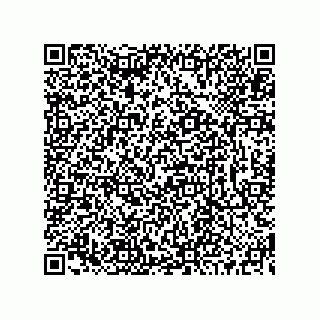 vCard 73519130029