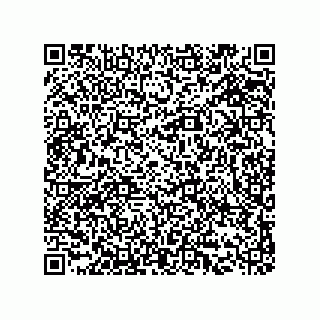 vCard 73519130031