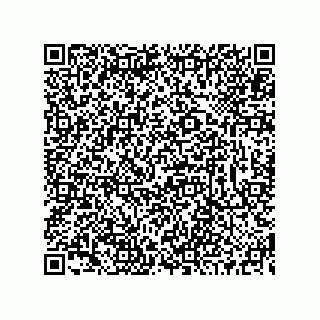 vCard 73519130032