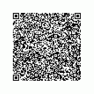 vCard 73519130033