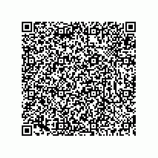 vCard 73519130035