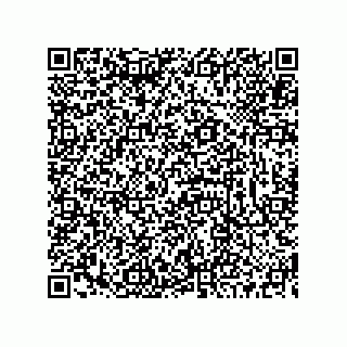 vCard 73519130037