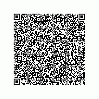 vCard 73519130038