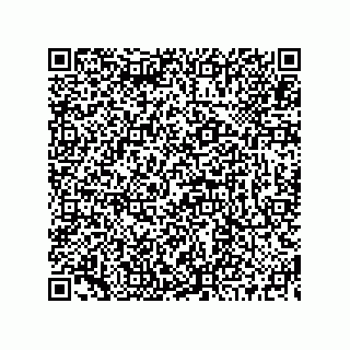 vCard 73519130040
