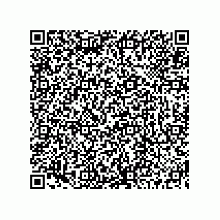 vCard 73519130044