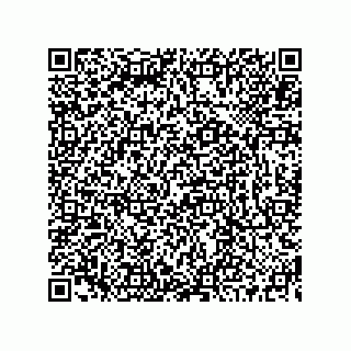 vCard 73519130049