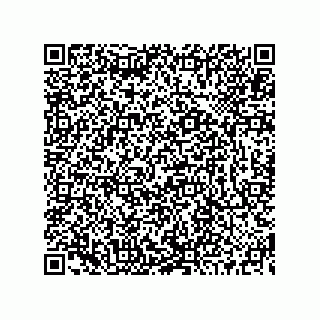 vCard 73519130059