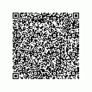 vCard 73519130062