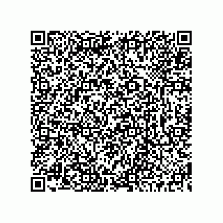 vCard 73519130063