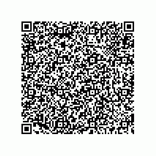 vCard 73519130080