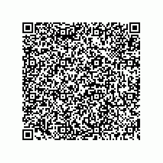 vCard 73519130082
