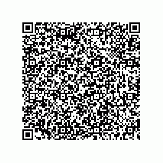 vCard 73519130084