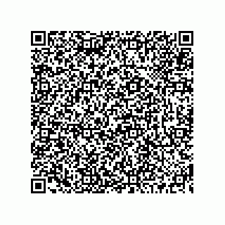vCard 73519130085
