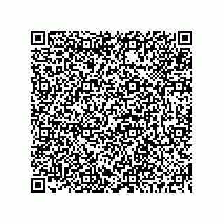 vCard 73519130089