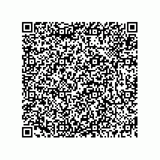 vCard 73519130099