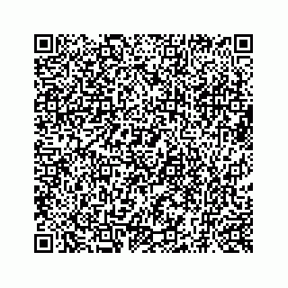 vCard 73519248521