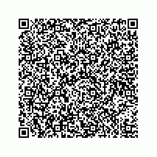 vCard 73519282979