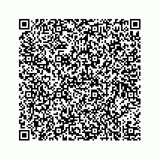 vCard 73519289509