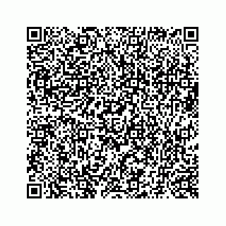 vCard 73519299204