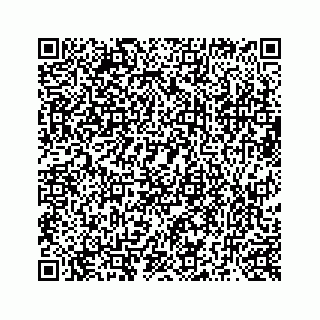 vCard 73519299213