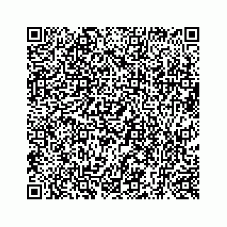 vCard 73519299221