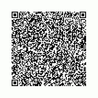 vCard 73519299222