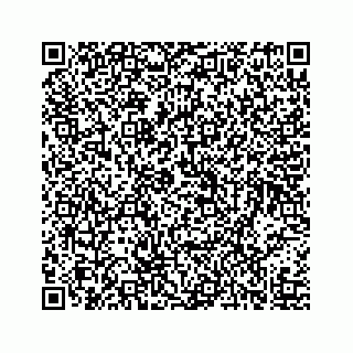vCard 73519299233