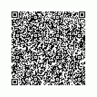 vCard 73519299239