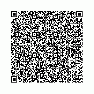 vCard 73519299241
