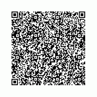 vCard 73519299255